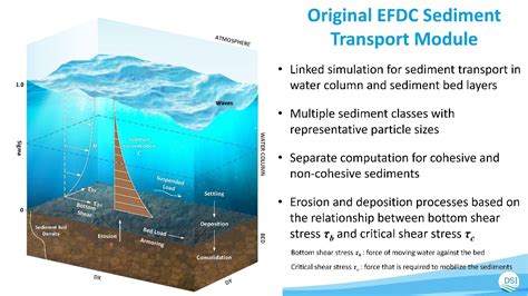  Dorvillea! Ein Meister der Sediment-Navigation mit erstaunlicher Regenerationsfähigkeit