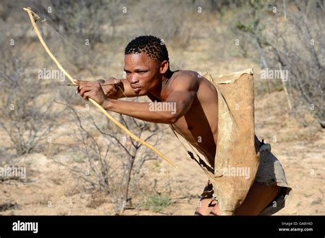  Erdmännchen: Welche flinken und unterhaltsamen Jäger verbergen sich im südlichen Afrika?